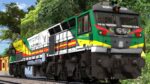 TVP'S 40139 TKD WDP4D - 1/5 GORKHA RIFLES AGRIM SENA LIVERY SET PACK - Image 3